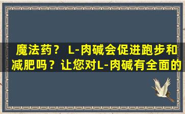 魔法药？ L-肉碱会促进跑步和减肥吗？让您对L-肉碱有全面的了解！